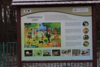 Święto Integracji w SP 13