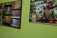 Święto Integracji w SP 13