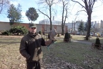 Sokolnik przy parku Tadeusza Kościuszki