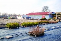 Teren MZZ, na którym miałby powstań nowy park ma ok. 3,5 ha