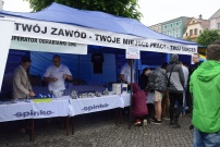 Dzień Zawodowcowa zorganizowano na płycie Rynku