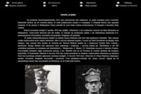 Fragmenty strony poświęconej Powstaniu Wielkopolskiemu w rejonie Leszna