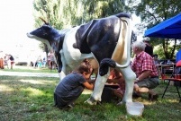 Piknik Leszczyńskie Smaki 2016