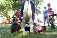 Piknik Leszczyńskie Smaki 2016