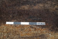 Cenne znalezisko ArchGeo (fot. ArchGeo)