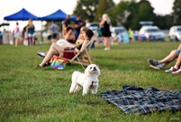 zakończenie lata na lotnisku