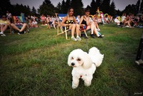 zakończenie lata na lotnisku