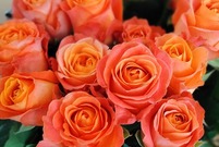 Spotkanie miało miejsce na sali sesyjnej Urzędu Miasta Leszna