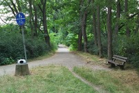 Stan ścieżki pieszo-rowerowej na Al. 21 Października wymaga remontu