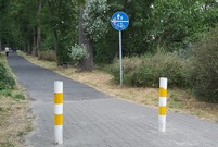 Stan ścieżki pieszo-rowerowej na Al. 21 Października wymaga remontu