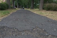Stan ścieżki pieszo-rowerowej na Al. 21 Października wymaga remontu