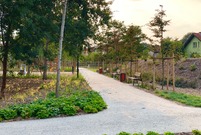 Park przy ul. Unii Europejskiej