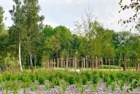 Park przy ul. Unii Europejskiej