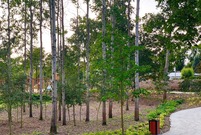 Park przy ul. Unii Europejskiej