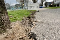 Remontowana alejka Sułkowskiego