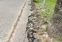 Remontowana alejka Sułkowskiego