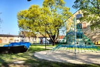 pumptruck  i siatka do wspinania w oddali zielone drzewo