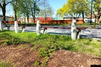 nasadzenia i ławki na tle parku