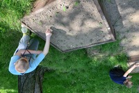 dzieci wysiewają nasiona 