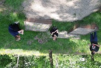 dzieci wysiewają nasiona 