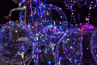 Dni Leszna 2022 - koncert