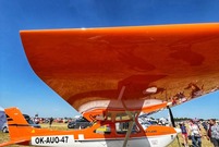 Antidotum Airshow Leszno