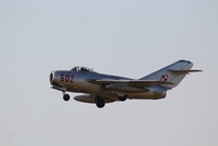 Antidotum Airshow Leszno