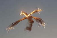 Antidotum Airshow Leszno