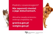 poradnik wakacyjny - zwierzęta