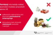 poradnik wakacyjny -żywność