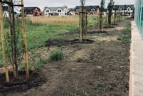 ulica Wilkowicka w Lesznie