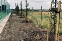 ulica Wilkowicka w Lesznie