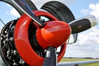 Fot. Marek Jankowski