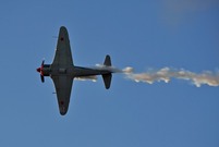 Fot. Marek Jankowski