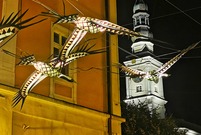 Leszczyński Uliczny Festiwal Artystyczny 2021