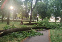 Sprzątanie po czwartkowej burzy w Lesznie