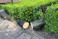 Sprzątanie po czwartkowej burzy w Lesznie