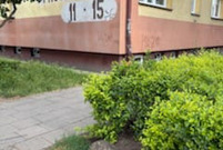 Sprzątanie po czwartkowej burzy w Lesznie