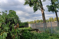 Sprzątanie po czwartkowej burzy w Lesznie