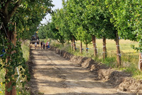 Ścieżka pieszo - rowerowa wzdłuż alei Konstytucji 3 Maja