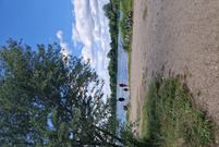 Miasto już planuje kolejne atrakcje nad wodą zbiornika zaborowskiego