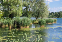 Zbiornik na Zaborowie w Lesznie to urokliwe miejsce