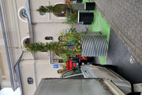 Przybywa zieleni w centrum miasta 