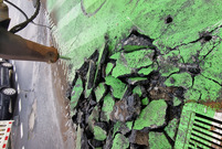 Przybywa zieleni w centrum miasta 