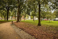 Dzięki dofinansowaniu w parku Jonstona zamontowane zostanie nowoczesne  oświetlenie 