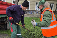 Zieleń w Lesznie – codzienna praca w całym mieście