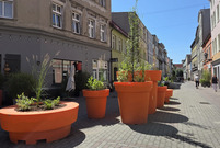 Kolorowe donice na ul. Wolności