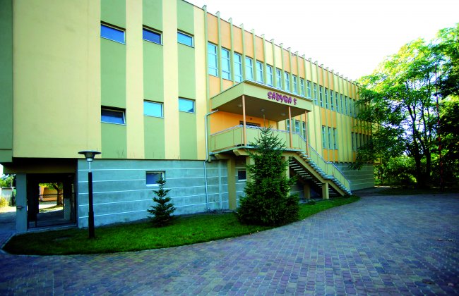 Sadyba V