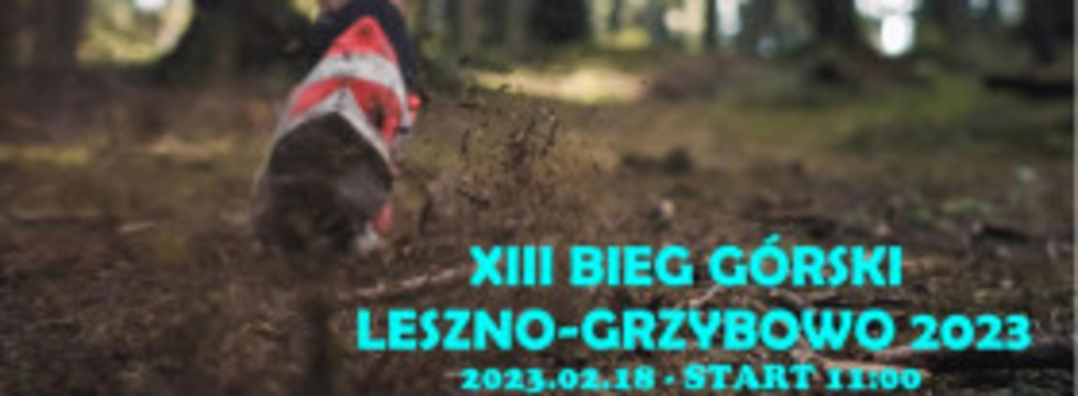 XIII Bieg Górski Leszno Grzybowo