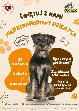 Międzynarodowy Dzień Psa w Schronisku